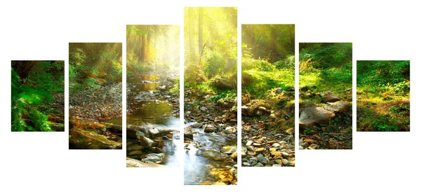 Obraz řeky v zeleném lese (210x100 cm)