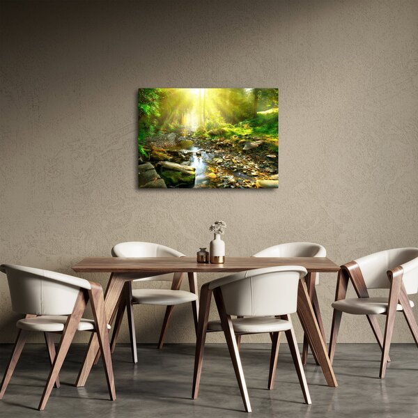 Obraz řeky v zeleném lese (70x50 cm)