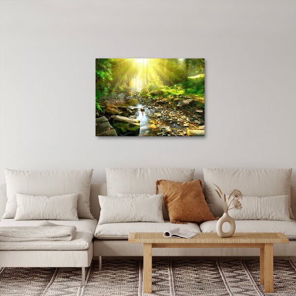 Obraz řeky v zeleném lese (70x50 cm)