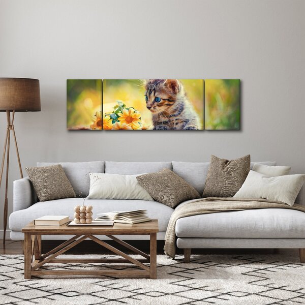 Obraz koťátka dívající se na květinu (170x50 cm)
