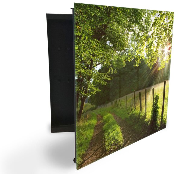 Glasdekor skříňka na klíče - les se slunečními paprsky a cestou - Levé / Bílá