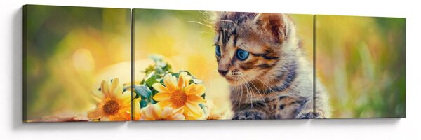 Obraz koťátka dívající se na květinu (170x50 cm)