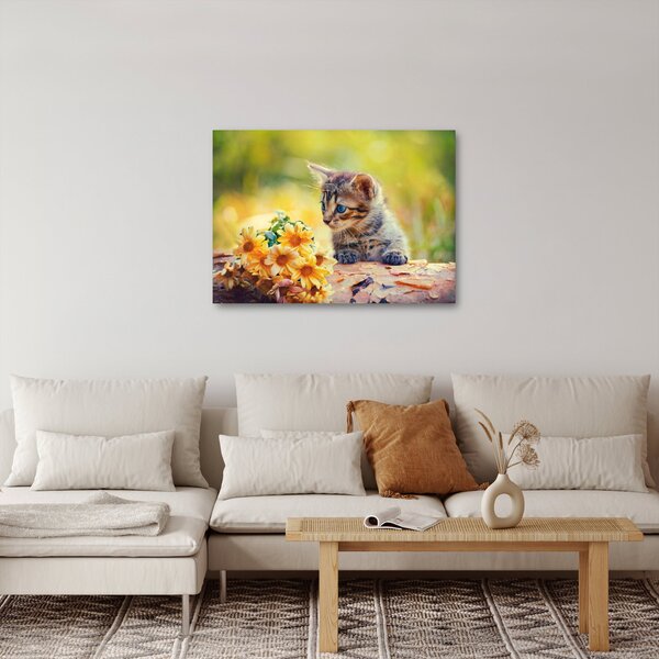 Obraz koťátka dívající se na květinu (70x50 cm)