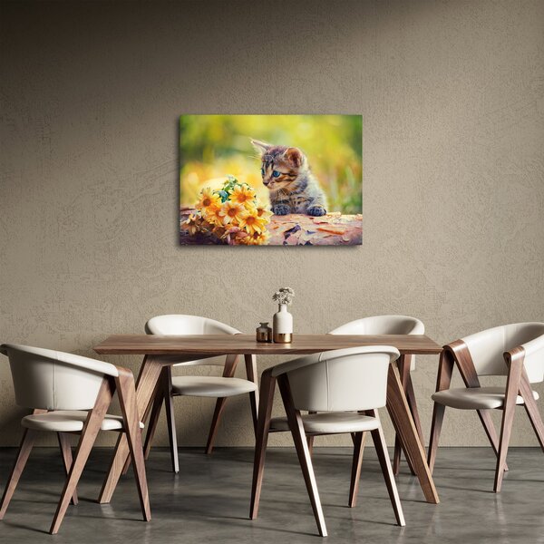 Obraz koťátka dívající se na květinu (70x50 cm)