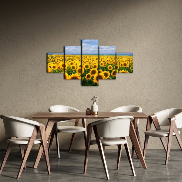 Obraz slunečnicového pole (125x70 cm)