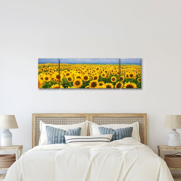 Obraz slunečnicového pole (170x50 cm)