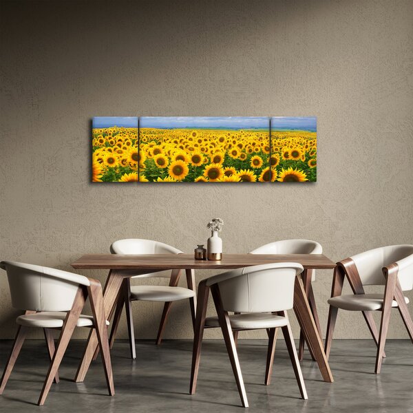 Obraz slunečnicového pole (170x50 cm)