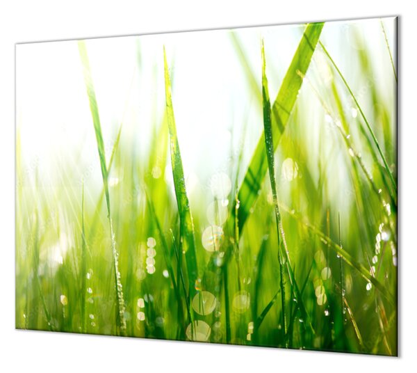 Ochranná deska zelená tráva s rosou - 52x60cm / S lepením na zeď