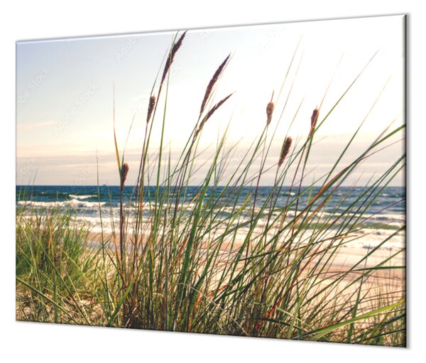 Ochranný skelněný panel tráva na pláži a moře - 50x50cm