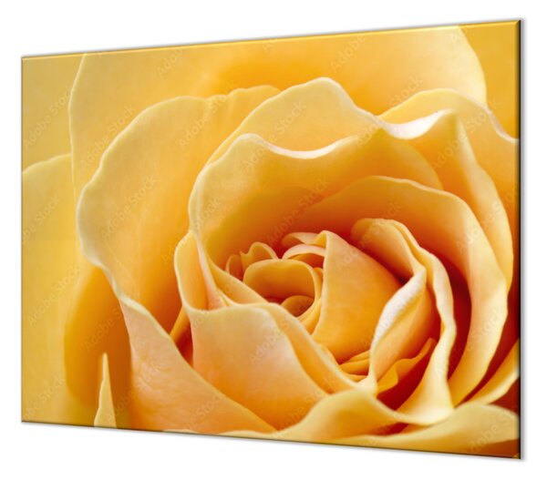 Ochranná deska květ žluté růže - 60x60cm / S lepením na zeď