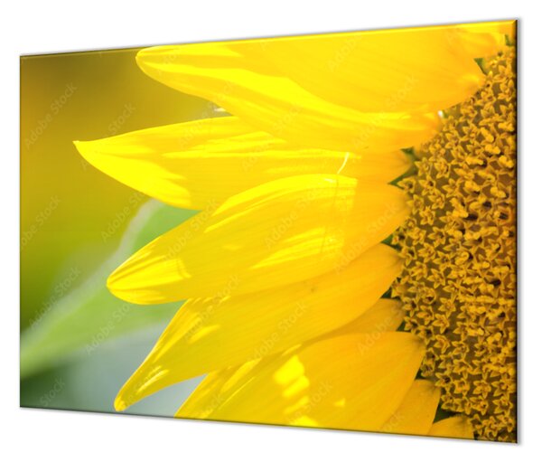 Krájecí podložka detail květ slunečnice - 50x70cm / S lepením na zeď
