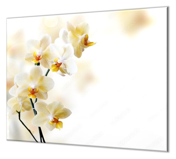 Ochranná deska květy žluté orchideje - 52x60cm