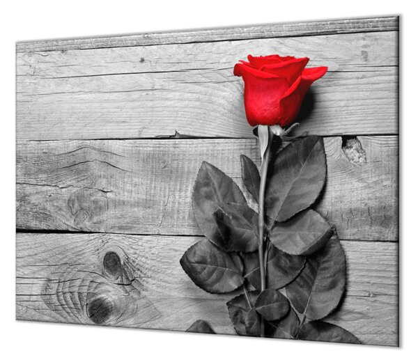 Ochranná deska červená růže na šedých prknech - 50x70cm / Bez lepení na zeď