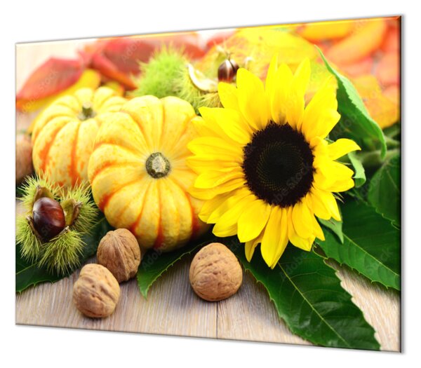 Ochranná deska dekorace podzimní plody - 70x70cm / Bez lepení na zeď
