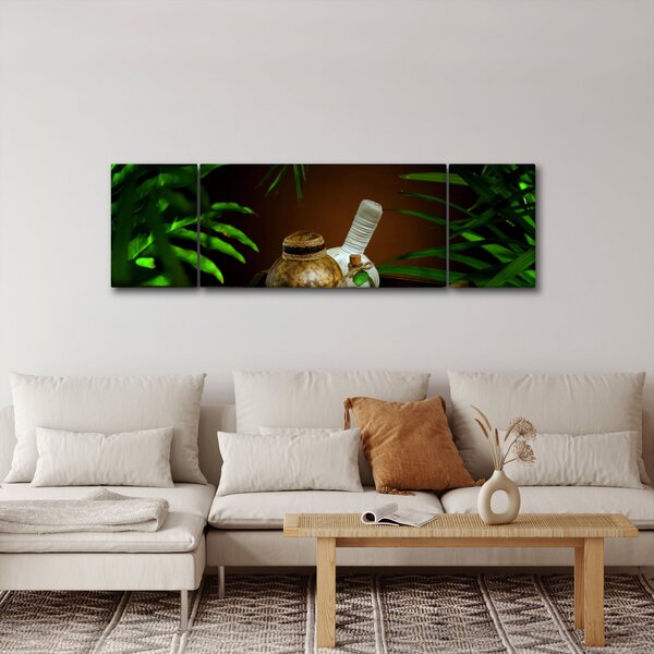 Obraz spa věcí (170x50 cm)