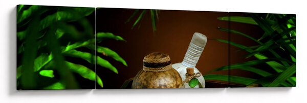 Obraz spa věcí (170x50 cm)