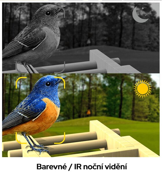 Ptačí oko chytré krmítko s kamerou Sojka bonzačka