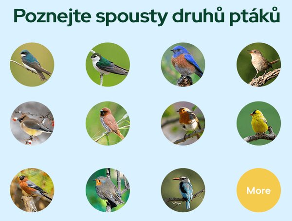 Ptačí oko chytré krmítko na okno s kamerou Sýkorka