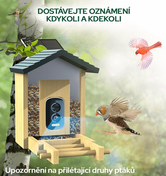Ptačí oko chytré krmítko s kamerou Sojka bonzačka