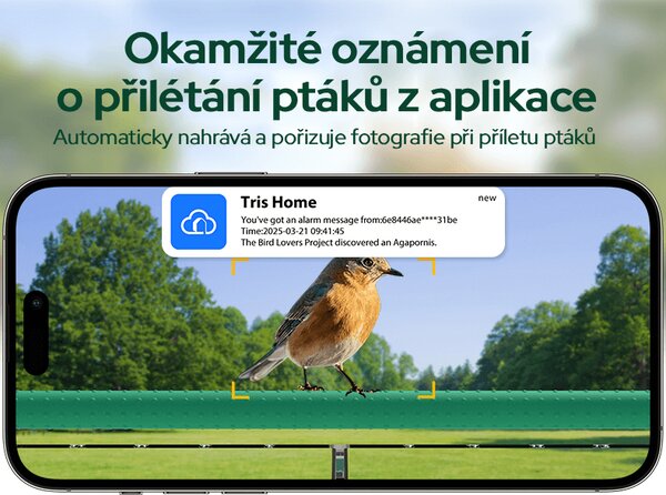 Ptačí oko chytré krmítko na okno s kamerou Sýkorka