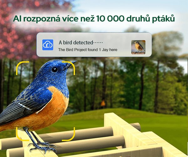 Ptačí oko chytré krmítko s kamerou Sojka bonzačka