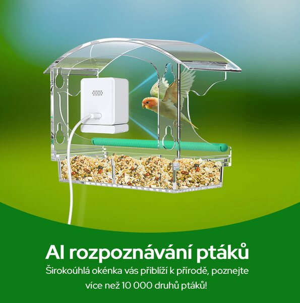 Ptačí oko chytré krmítko na okno s kamerou Sýkorka