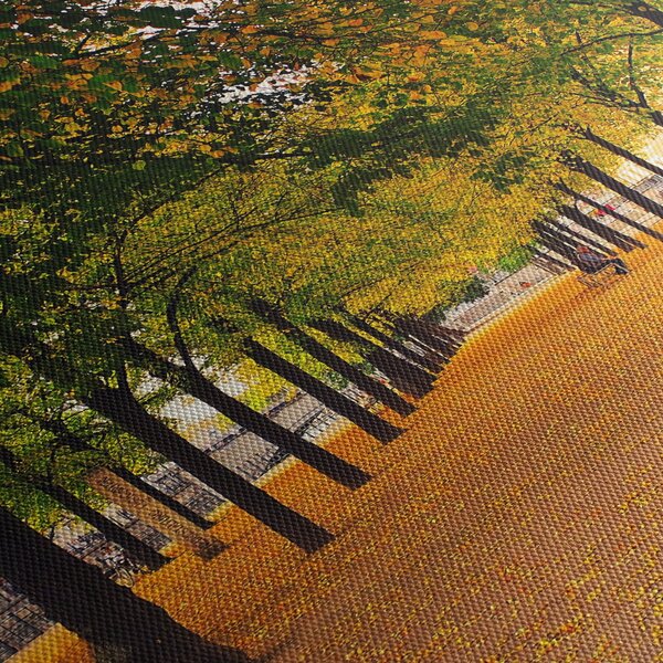 Obraz aleje podzimních stromů (170x50 cm)