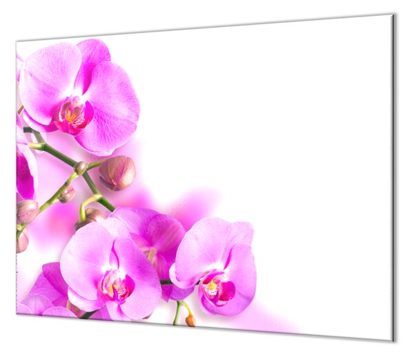 Skleněný kryt na stěnu květy fialové orchideje - 52x60cm / S lepením na zeď