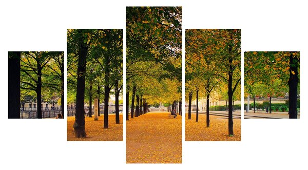 Obraz aleje podzimních stromů (125x70 cm)