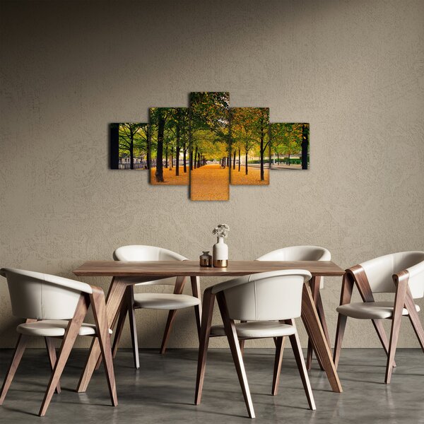 Obraz aleje podzimních stromů (125x70 cm)