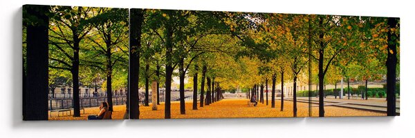 Obraz aleje podzimních stromů (170x50 cm)