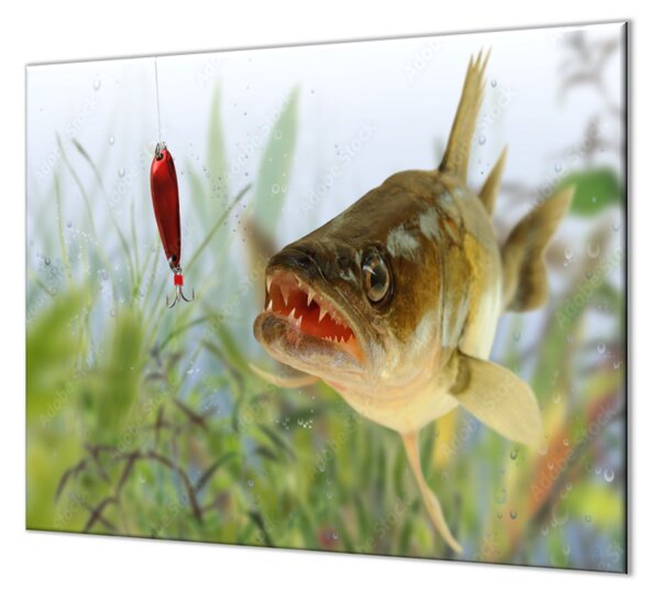 Ochranná deska candát ryba - 52x60cm / S lepením na zeď