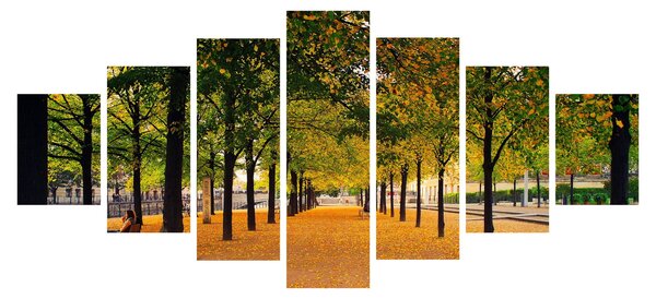 Obraz aleje podzimních stromů (210x100 cm)