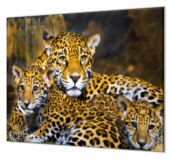Ochranná deska šelma jaguár s mláďaty - 52x60cm / S lepením na zeď