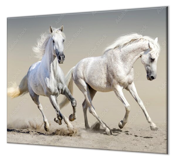 Ochranná deska pár bílých koňů - 52x60cm