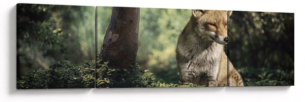 Obraz lišky (170x50 cm)