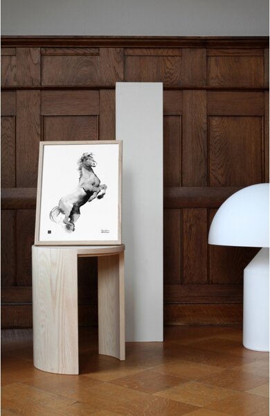 Teemu Järvi Plakát Horse 30x40