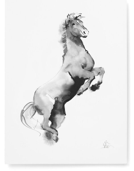 Teemu Järvi Plakát Horse 30x40