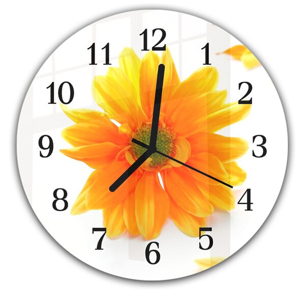 Nástěnné hodiny kulaté pr.30cm oranžový květ chryzantémy na bílém pozadí - plexi