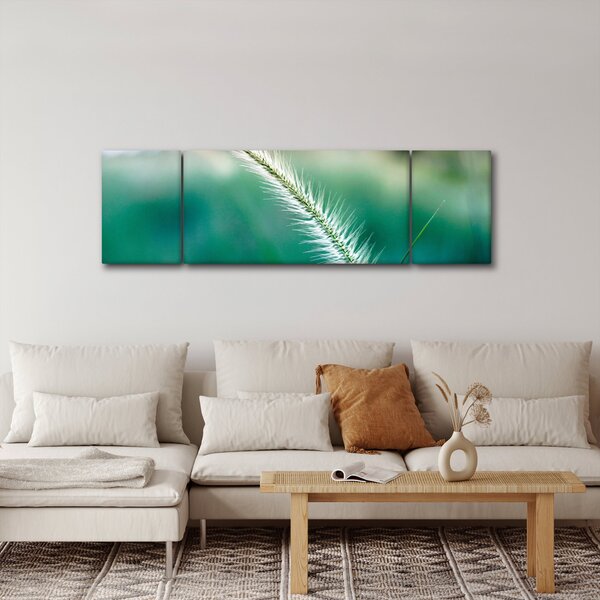 Obraz stébla trávy (170x50 cm)