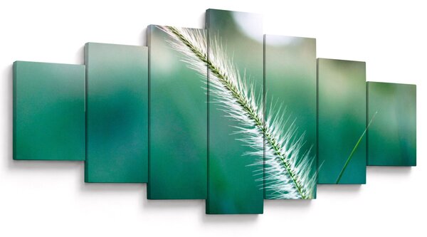 Obraz stébla trávy (210x100 cm)