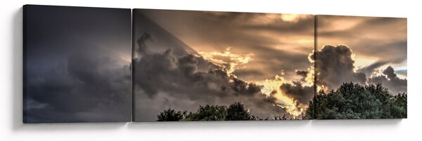 Obraz mračen a lesa (170x50 cm)