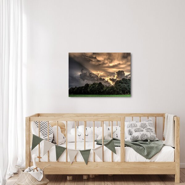 Obraz mračen a lesa (70x50 cm)