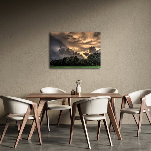 Obraz mračen a lesa (70x50 cm)