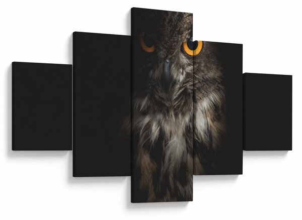 Obraz sovy (125x70 cm)