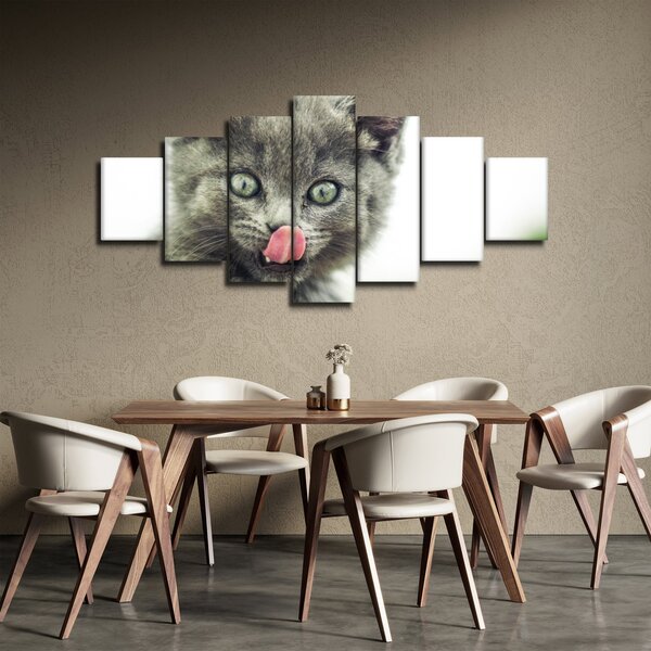 Obraz oblizujícího se kotěte (210x100 cm)