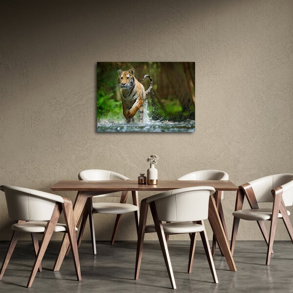 Obraz běžícího tygra (70x50 cm)