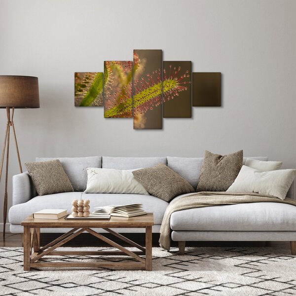 Obraz rostliny (125x70 cm)