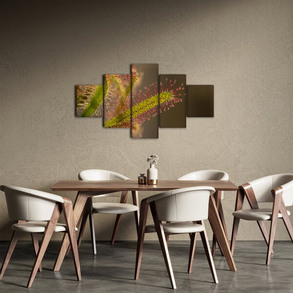 Obraz rostliny (125x70 cm)