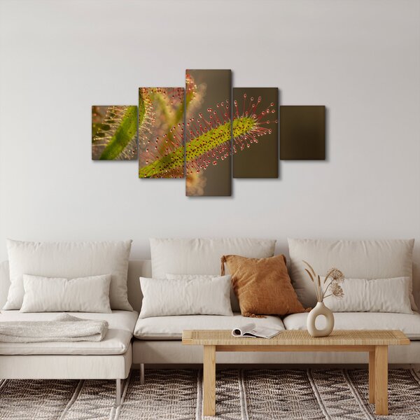 Obraz rostliny (125x70 cm)